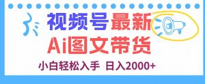 视频号最新AI图文带货，每天几分钟，小白轻松入手，日入2000+-沧海聊项目