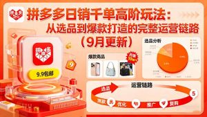 拼多多日销千单高阶玩法:从选品到爆款打造的完整运营链路(9月更新-沧海聊项目