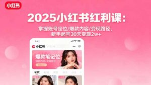 2025小红书红利课:掌握账号定位/爆款内容/变现路径,新手起号30天变现2w+-沧海聊项目
