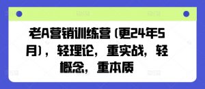 老A营销训练营(更25年10月)，轻理论，重实战，轻概念，重本质-沧海聊项目