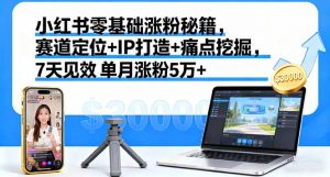 小红书零基础涨粉秘籍，赛道定位+IP打造+痛点挖掘，7天见效 单月涨粉5万+-沧海聊项目