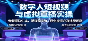 数字人短视频与虚拟直播实操，音频提取生成，背景添加，原创度提升及违规规避-沧海聊项目