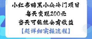 小红书暗黑小众冷门项目每天变现2张当天可能就会有收益-沧海聊项目