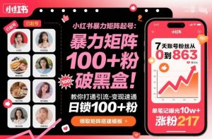 小红书暴力矩阵起号,教你打通引流-变现速通,日锁100+粉,破流量黑盒-沧海聊项目