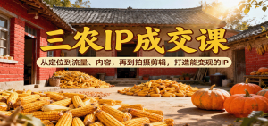 三农IP成交课:从定位到流量、内容,再到拍摄剪辑,打造能变现的IP-沧海聊项目