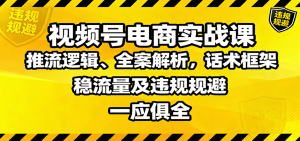 视频号电商实战课:推流逻辑、全案解析,话术框架,稳流量及违规规避等-沧海聊项目