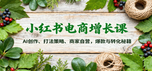 小红书电商增长课：AI创作、打法策略、商家自营，爆款与转化秘籍-沧海聊项目
