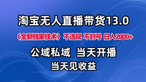 淘宝无人直播13.0，公域私域技术，不封号，不违规布局下半年旺季赛道，日入1K+(独家技术)【揭秘】-沧海聊项目