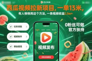 西瓜视频拉新项目，一单13米，有人悄悄用这个方法，一条视频收益2.5w+(附详细教程)-沧海聊项目