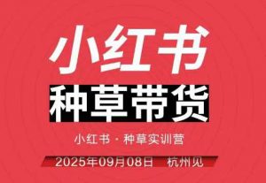 小红书种草带货实训营9月8日杭州线下课，全程录音+字幕，全网唯一小红书实战营-沧海聊项目