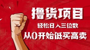 手把手教你撸货,从0开始低买高卖,小白轻松实现日入三位数!!!-沧海聊项目