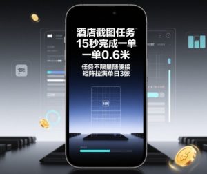 酒店截图任务,15秒完成一单,一单0.6米,任务不限量随便接,矩阵拉满单日3张【揭秘】-沧海聊项目