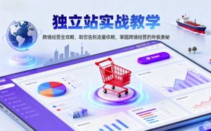独立站实战教学,跨境经营全攻略,助您告别流量依赖,掌握跨境经营的终极奥-沧海聊项目