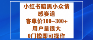 小红书暗黑小众情感赛道，客单价100-300+用户量很大，0门槛即可操作-沧海聊项目