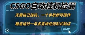游戏自动挂G捡漏，一个手机即可操作，当天可操作见到结果，新手小白轻松月入1W+【揭秘】-沧海聊项目