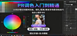 PR调色入门到精通：从色彩理论到案例实操，婚礼/医美/美食多场景调色技巧-沧海聊项目