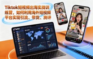 Tiktok短视频出海实战训练营，如何利用海外短视频平台实现引流、带货、测评-沧海聊项目