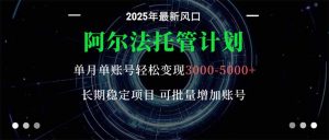 阿尔法托管计划 单账号月入3000-5000，长期稳定项目，新手小白轻松上手。-沧海聊项目