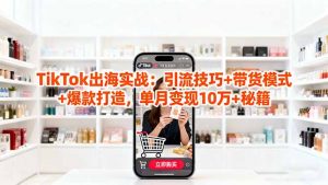 「TikTok出海实战」引流技巧+带货模式+爆款打造,单月变现10万+秘籍-沧海聊项目