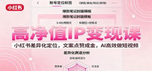 高净值IP变现课:小红书差异化定位,文案点赞成金, AI高效做短视频-沧海聊项目