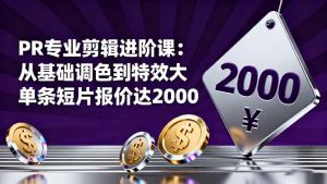 PR专业剪辑进阶课:从基础调色到特效大片的进阶技能,单条短片报价达2000-沧海聊项目