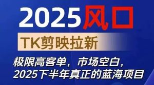 2025风口TK剪映capcut拉新项目，极限高客单，市场空白，2025下半年真正的蓝海项目-沧海聊项目