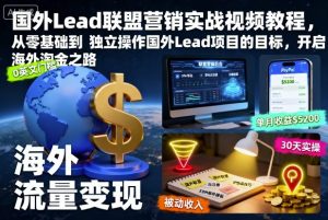 国外Lead联盟营销实战视频教程，从零基础到独立操作国外Lead项目的目标，开启海外淘金之路-沧海聊项目