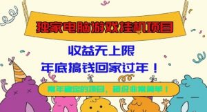 独家电脑游戏挂G项目，常年稳定，收益无上限，年底搞钱回家过年【揭秘】-沧海聊项目