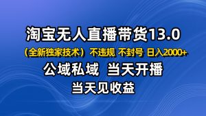 淘宝无人直播13.0，公域私域技术，不封号，不违规 布局下半年旺季赛道，日入2000+-沧海聊项目