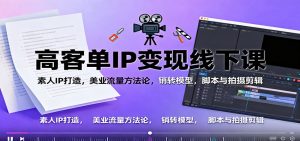 高客单IP变现线下大课:素人IP打造,美业流量方法论,销转模型,脚本与拍摄剪辑-沧海聊项目