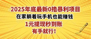 2025年底最新0撸暴利项目,在家也能躺赚,1元秒提现,有手就行!-沧海聊项目