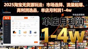 2025淘宝无货源玩法:市场选择、流量起爆、高利润选品,单店月利润1-4w-沧海聊项目