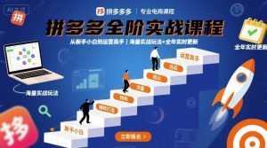 拼多多全阶实战课程，从新手小白到运营高手，海量实战玩法+全年实时更新【2025年10月更新】-沧海聊项目