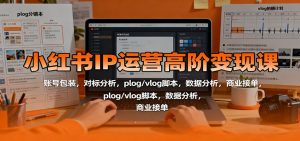 小红书IP运营高阶变现课：账号包装，对标分析，plog/vlog脚本，数据分析，商业接单-沧海聊项目