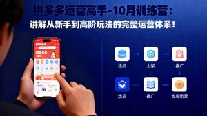 拼多多运营高手-10月训练营：讲解从新手到高阶玩法的完整运营体系！-沧海聊项目