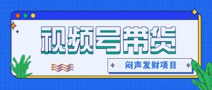 微信视频号带货项目，轻松日赚赚2000+，这个挣钱入口很多伙伴都在闷声发财-沧海聊项目