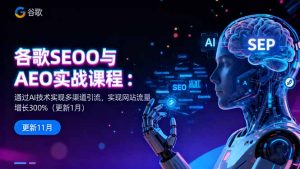 谷歌SEO与AEO实战课程：通过AI技术实现多渠道引流，实现网站流量增长300%-沧海聊项目