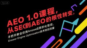 AEO 1.0 课程，从SEO到AE0的基命性转变，手把手教会你用AnswerEngineOptimization技术抢回流量(更新)-沧海聊项目