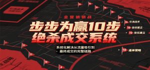 步步为赢10步绝杀成交系统,系统化解决从流量吸引到最终成交的完整链路-沧海聊项目