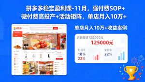 拼多多稳定盈利课-11月，强付费SOP+微付费高投产+活动矩阵，单店月入10万+-沧海聊项目