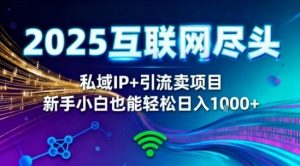 2025网创尽头王炸项目！私域IP+精准引流，新手小白在家躺賺日入1k，零经验也能上手【揭秘】-沧海聊项目