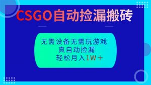 CSGO自动捡漏搬砖，当天操作当天见结果，无需了解游戏，包教包会包落地-沧海聊项目