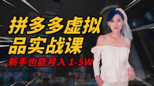 2025 拼多多虚拟品系统实战课，轻资产项目，可矩阵开工作室，新手也能…-沧海聊项目
