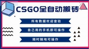 CSGO全自动搬砖，年底钱回家好项目，当天可拿到结果，新手小白轻松月入1W+【揭秘】-沧海聊项目