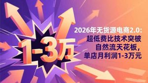 2026年无货源电商2.0：超低费比技术突破自然流天花板，单店月利润1-3万元-沧海聊项目