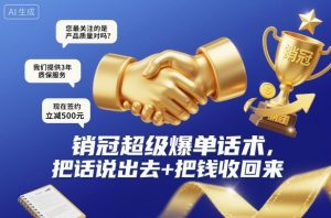 销冠超级爆单话术,把话说出去+把钱收回来-沧海聊项目