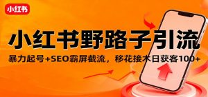 小红书野路子引流,暴力起号+SEO霸屏截流,移花接木日获客100+-沧海聊项目