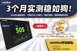 3个月实测稳如狗！wishlba最新项目，一键运行日入50美刀，单窗口躺挣，保姆级教程全给你【揭秘】-沧海聊项目