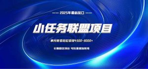 小任务联盟项目：一台电脑每天只需10分钟，轻松简单稳定-沧海聊项目