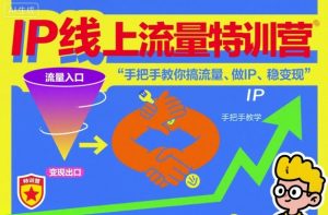 IP线上流量特训营，手把手教你搞流量、做IP、稳变现-沧海聊项目